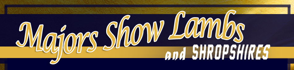 Majors Show Lambs and Shropshires