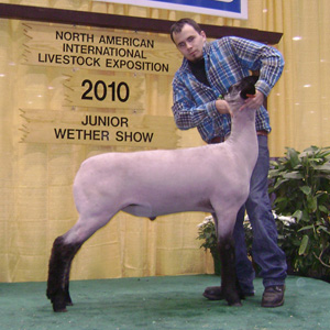 Majors Show Lambs and Shropshires • Winners